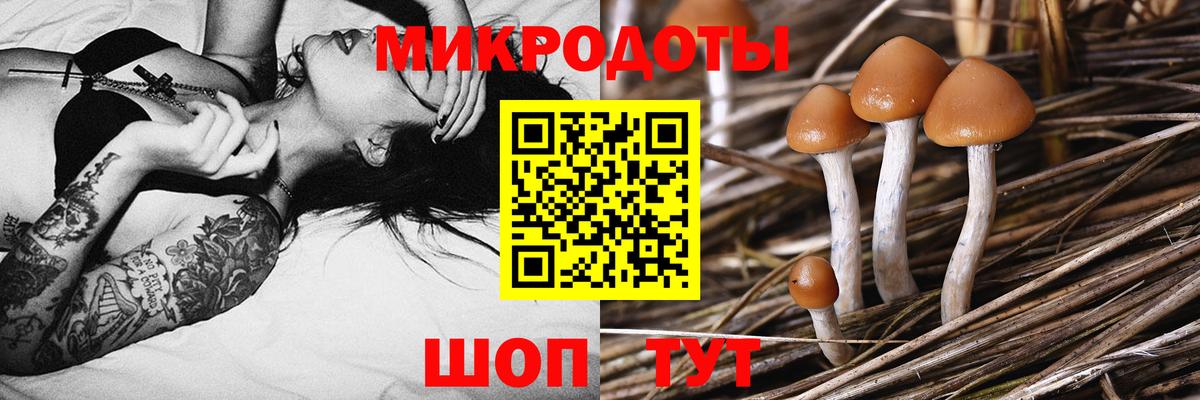 Галлюциногенные грибы мицелий Санкт-Петербург