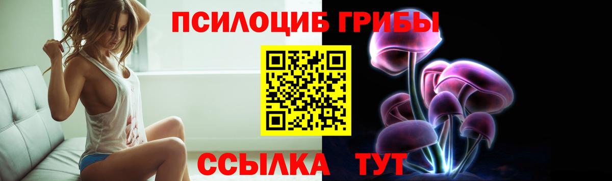 Псилоцибиновые грибы GOLDEN TEACHER  Вход с VPN  Галлюциногенные грибы мицелий  Санкт-Петербург 
